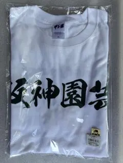 真天地開闢集団-ジグザグ 大晦日の大禊 参拝装束 ロングTシャツ 白 XXL