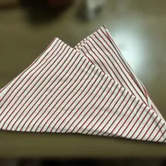 赤白ストライプ柄 生地 布地