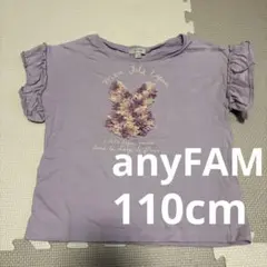 anyFAM 110cm