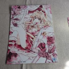 種村有菜原画展　20周年グッズ　特別展りぼん　クリアブロマイド　キーホルダー　等 最終値下 新品未開封 種村有菜 20周年原画展限定 クリアブロマイド