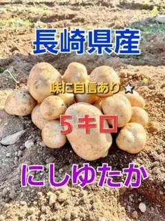 長崎県産 じゃがいもA品 にしゆたか 箱込み５キロのサムネイル