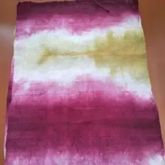 1530❄️クール便【珍種】完熟露茜梅 Mサイズ1kg キルトパッチ梅店