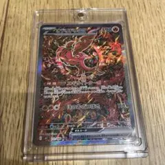 オドリドリ　sar