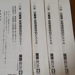 日能研 6年 夏期講習テキスト・模試4回分 解答解説・保護者会資料 2024年度 日能研 6年 夏期講習 4科目 2024年 - メルカリ