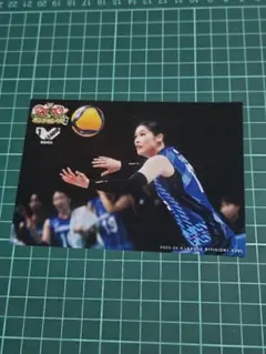 Item thumbnail for item 4dd05074-d9d1-4e0d-b233-d6d1ff8e36dc