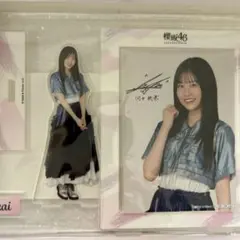 ディズニー WCFミッキーフレンズ特製ボックス キャンペーン当選品 未