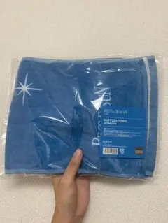 【未使用】<SEVENTEEN>BE THE SUN JEONGHANタオル