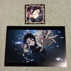 【匿名配送】鬼滅の刃 胡蝶しのぶ2枚セット ポストカード＆シール列伝5
