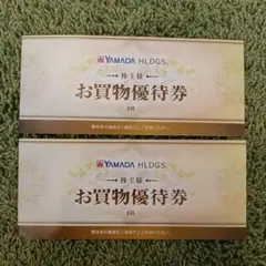 YAMADA HLDGS. お買物優待券 6枚セット