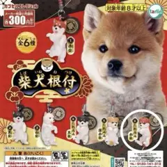 【未使用】柴犬根付け 赤柴 子犬 へそ天 フィギュア ストラップ ガチャガチャ