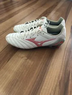 Mizuno モナルシーダネオ3プロ　25cm