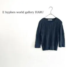 E hyphen world gallery HARU ケーブル編みニット