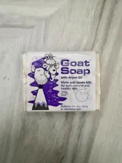 Item thumbnail for item 5f04b0be-77f8-4a70-a8f3-274525cdb258