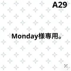 Monday様専用。A29 【完売品】即日発送　Barbour トランスポートのサムネイル