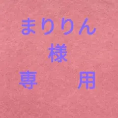 ☆まりりん様専用 トイプードル　マスコット