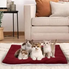 Item thumbnail for item 5aee0673-7ae1-445b-8a43-fe5d162beaa3