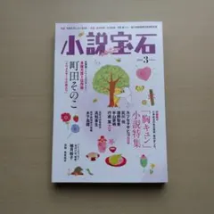 小説宝石 2022年3月号 胸キュン小説特集