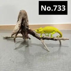 Item thumbnail for item eb7e5f1e-960d-40a3-a787-7423f777106c