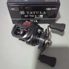 Daiwa TATULA BF TW 8.1L 　ダイワ　タトゥーラ　BFのサムネイル