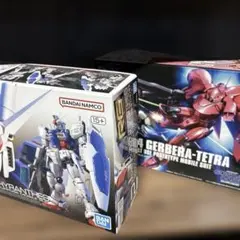 あ*覧様 RG ゼフィランサス　HG ガーベテトラ　セット　新品