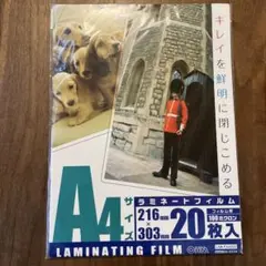 Item thumbnail for item 8a6ec2c3-9df6-4f09-b526-249aa23f49b2