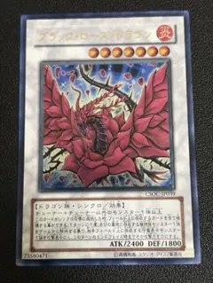 2026年最新】レリーフ ブラックローズドラゴンの人気アイテム - メルカリ