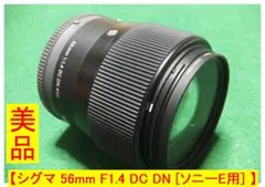 Item thumbnail for item 94ff673a-9e75-4644-987e-f73a981808aa