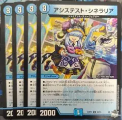 アシステストシネラリア　4枚