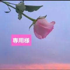 Item thumbnail for item cb906820-3e70-425d-a964-1949763ba17a