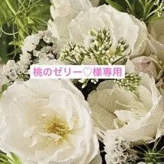 桃のゼリー♡様専用　レジンネックレス