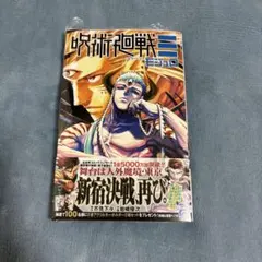 呪術廻戦モジュロ 2巻 漫画