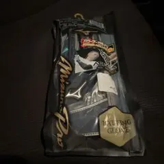 Mizuno Power Assist バッティング用手袋　サイズ26
