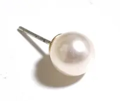 Item thumbnail for item 7a199e7d-d03f-460e-b8fc-77c62f295944