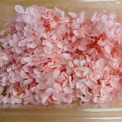 みいみいこ ☆プロフ必ずお読みください。様 リクエスト 2点 まとめ商品