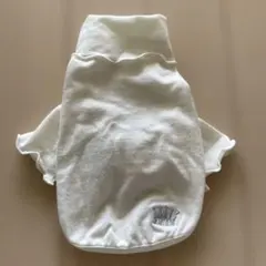 Item thumbnail for item d71344c2-9709-41fa-a3db-1dbfb657b767