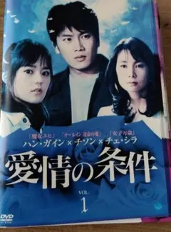 愛情の条件３０巻