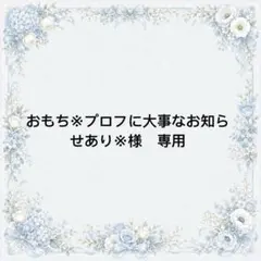 おもち※プロフに大事なお知らせあり※様　専用