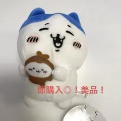 ちいかわ ハチワレ ぬいぐるみ カブトムシと一緒