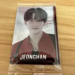 【早い者勝ち】SEVENTEEN ジョンハン　ウエハースカード