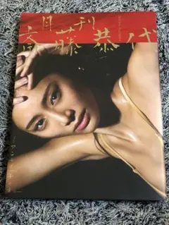 モデル・グラビアアイドル 斎藤恭代さん写真集「月刊 斎藤恭代」