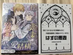 捨てられるはずの悪妻なのに冷徹侯爵様に溺愛されています 特典付きのサムネイル