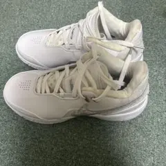 NIKE LEBRON NXXT GEN バスケットボールシューズ