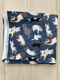 Item thumbnail for item 8505fd9f-969a-4643-8411-048a4b93728f