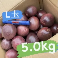 L玉3.5kg+規格外500g パッションフルーツ セール☆L玉3.5kg+規格外500g パッションフルーツ - メルカリ