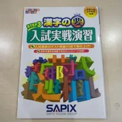 漢字の要　ステップ3 入試実践演習のサムネイル