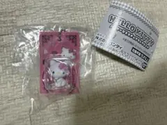 ハローキティ　パッケージミニチュアコレクション　チャーミーキティ