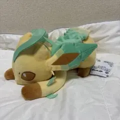 即発送 포켓몬 もふぐっとぬいぐるみ イーブイフレンズ～リーフィア～おひるね