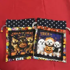 ☆ハロウィンパネル使用☆お菓子袋2点セット