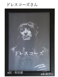 中古レコード　ドレスコーズ　3点セット　志磨遼平 中古レコード ドレスコーズ 3点セット 志磨遼平 中古レコード