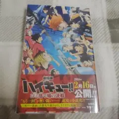 【匿名配送】ハイキュー!!　劇場版ゴミ捨て場の決戦　小説
